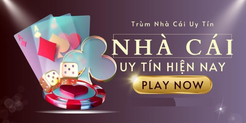 Tổng quan nhà cái 798 bet - thương hiệu cá cược uy tín