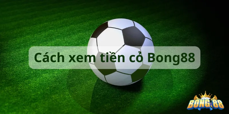 cách xem tiền cỏ trong bong88